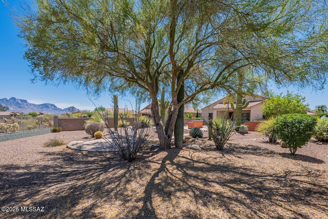 15114 North Rugged Lark Drive Tucson, AZ 85739 - Photo 41 of 49