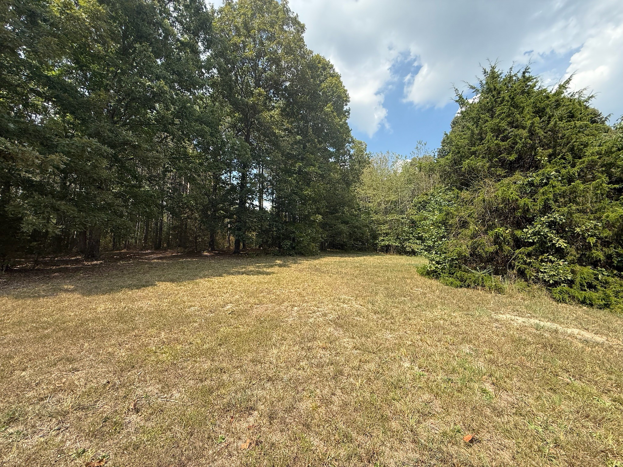 145 Brier Hill Road Ethridge, TN 38456 - Photo 45 of 64