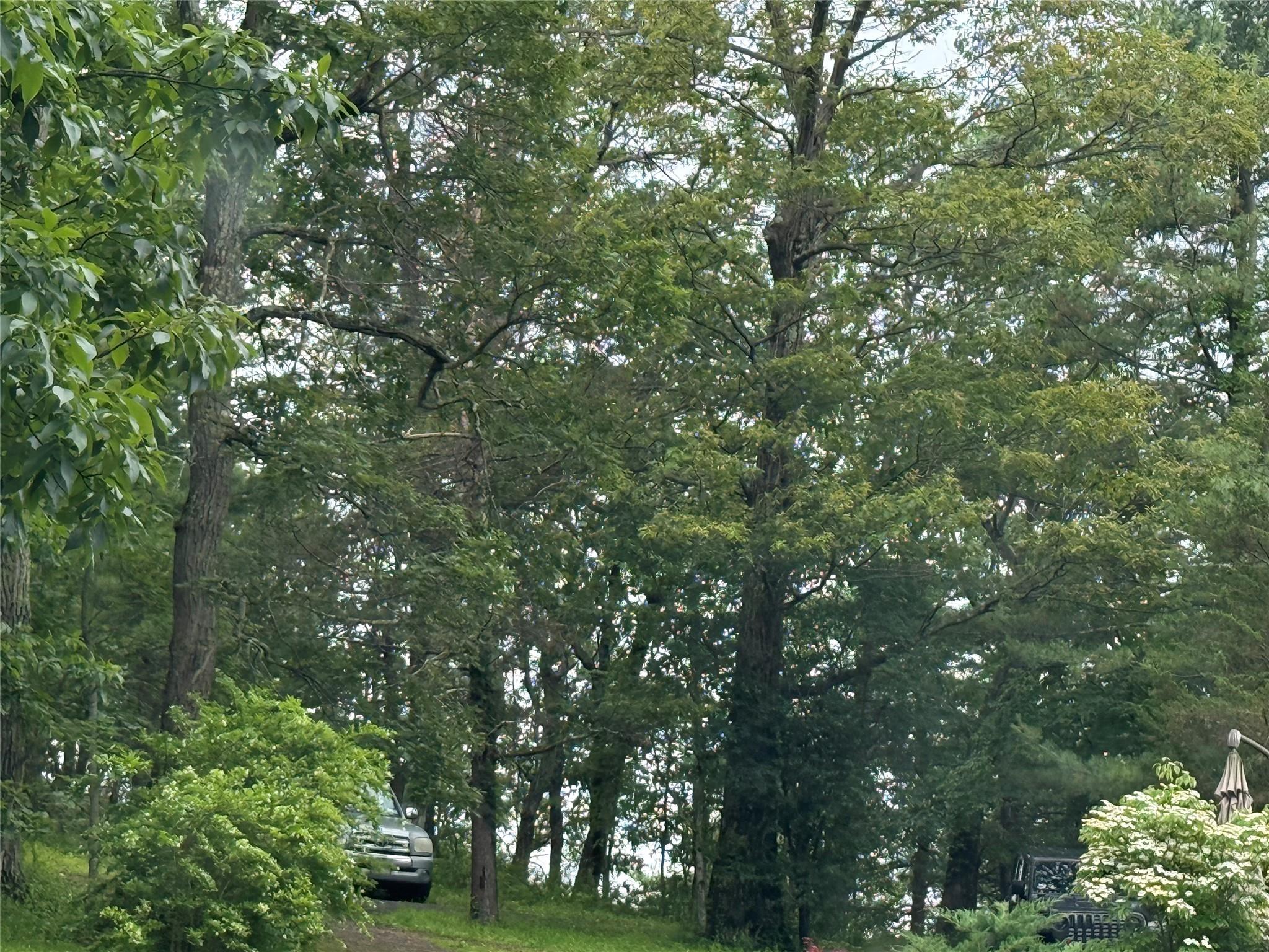 East Mombasha Road Monroe, NY 10950 - Photo 1 of 1 View of undeveloped land