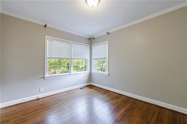 a view of a backyard with plants and large tree