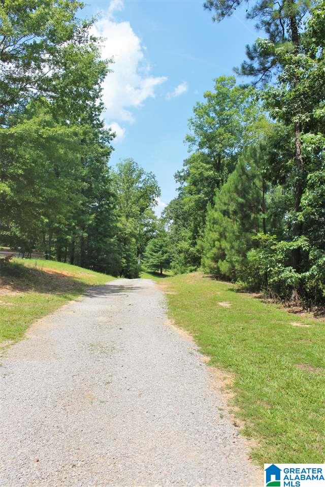 1334 Cherokee Road, Unit 7 Pell City, AL 35128 - Photo 2 of 6