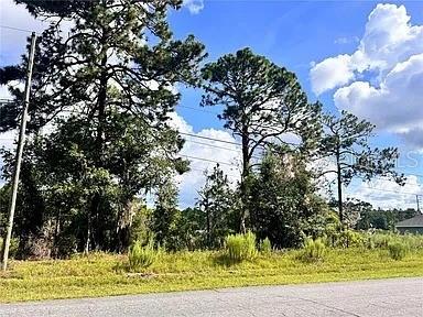 415 West Homeway Loop Citrus Springs, FL 34434 - Photo 2 of 9