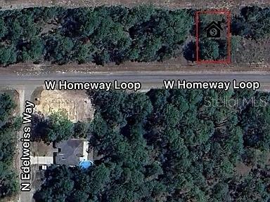 415 West Homeway Loop Citrus Springs, FL 34434 - Photo 3 of 9