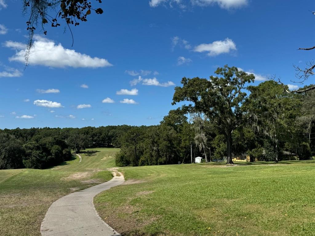 415 West Homeway Loop Citrus Springs, FL 34434 - Photo 5 of 9