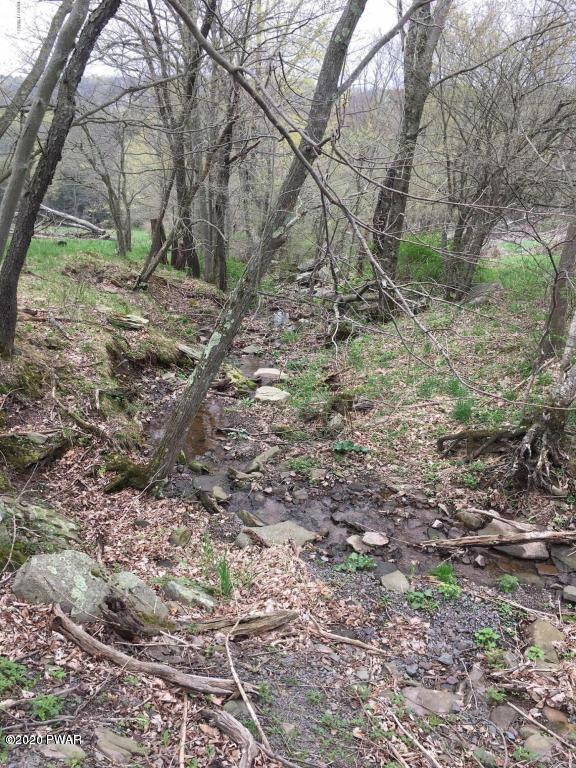 Lot A1 Adams Road Lake Ariel, PA 18436 - Photo 4 of 8