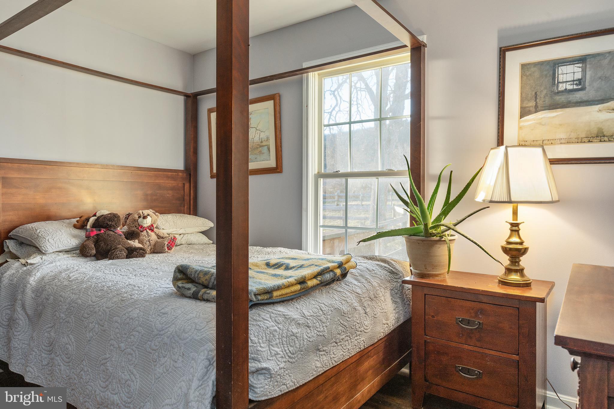 1503 Cottontown Road Strasburg, VA 22657 - Photo 12 of 42 Bedroom #2