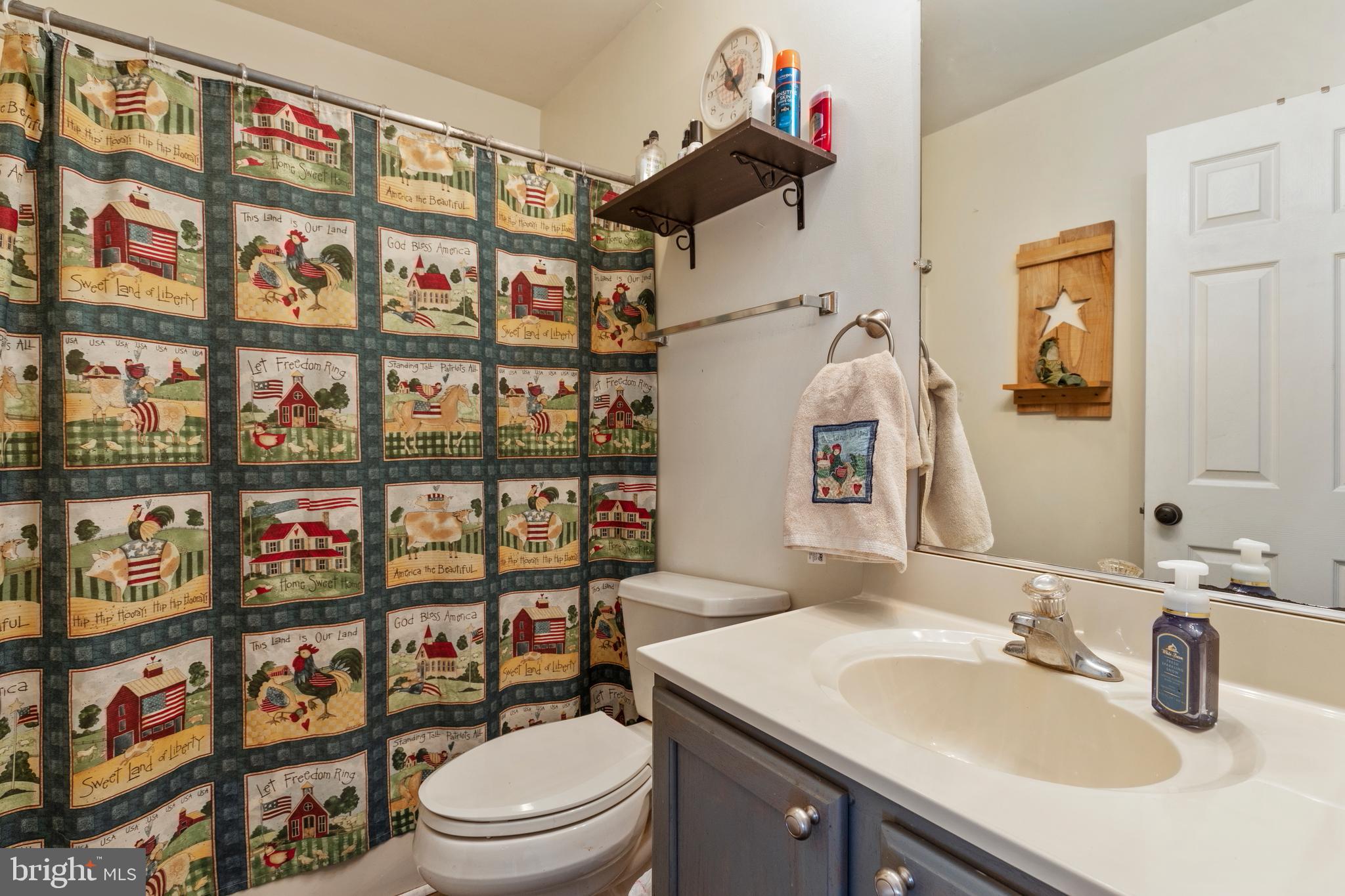 1503 Cottontown Road Strasburg, VA 22657 - Photo 13 of 42 Bathroom