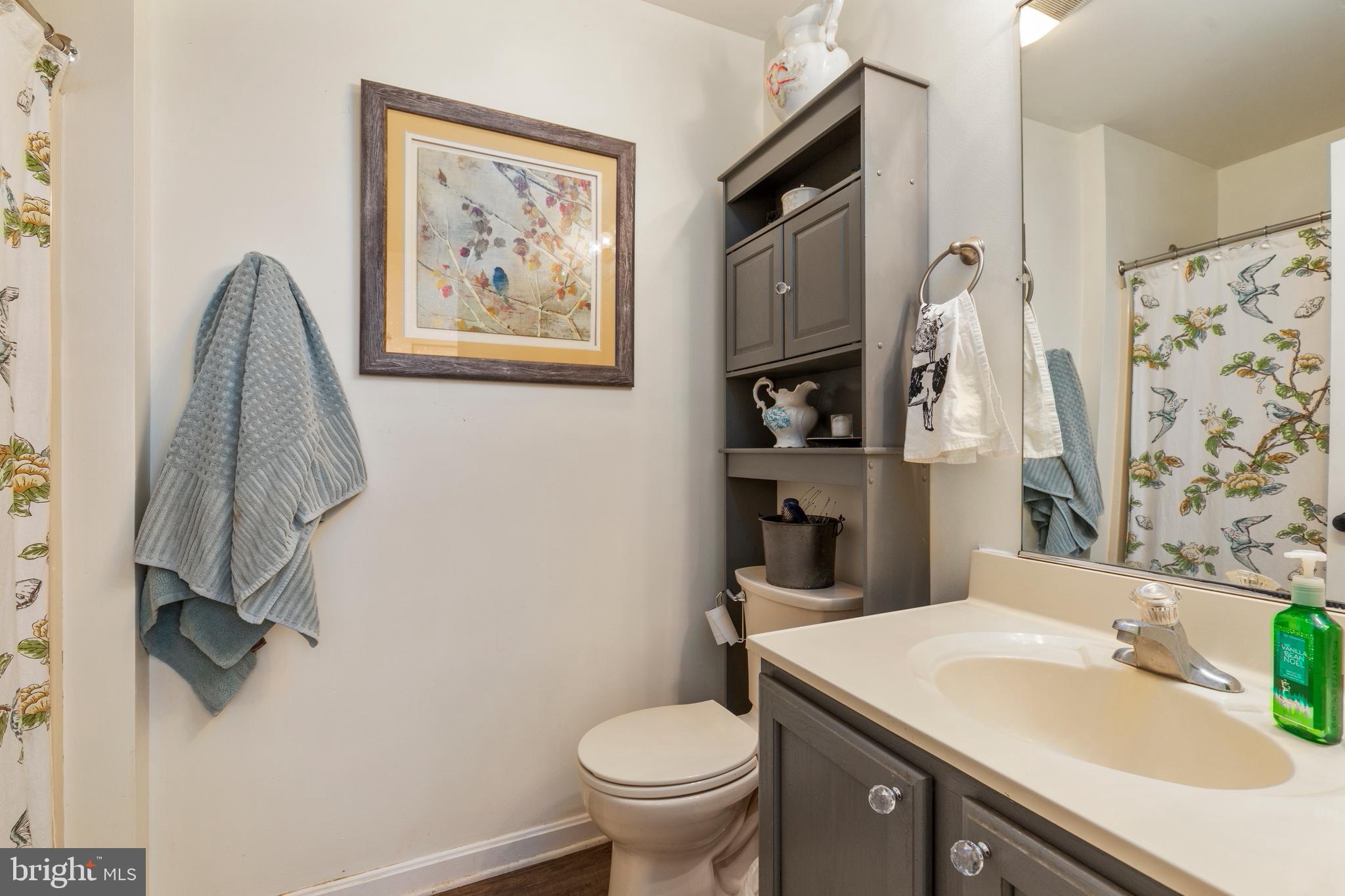 1503 Cottontown Road Strasburg, VA 22657 - Photo 14 of 42 Bath