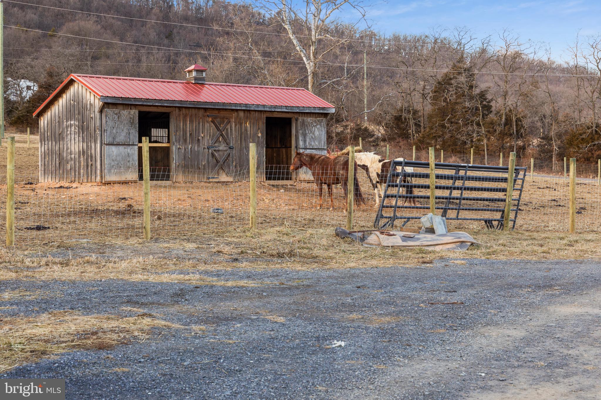 1503 Cottontown Road Strasburg, VA 22657 - Photo 21 of 42 2 Stall Horse Barn