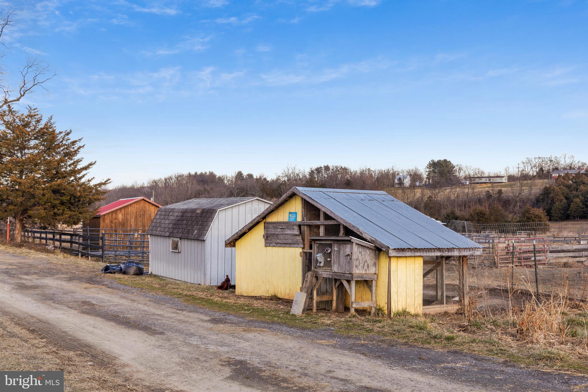 1503 Cottontown Road Strasburg, VA 22657 - Photo 24 of 42 Chicken House