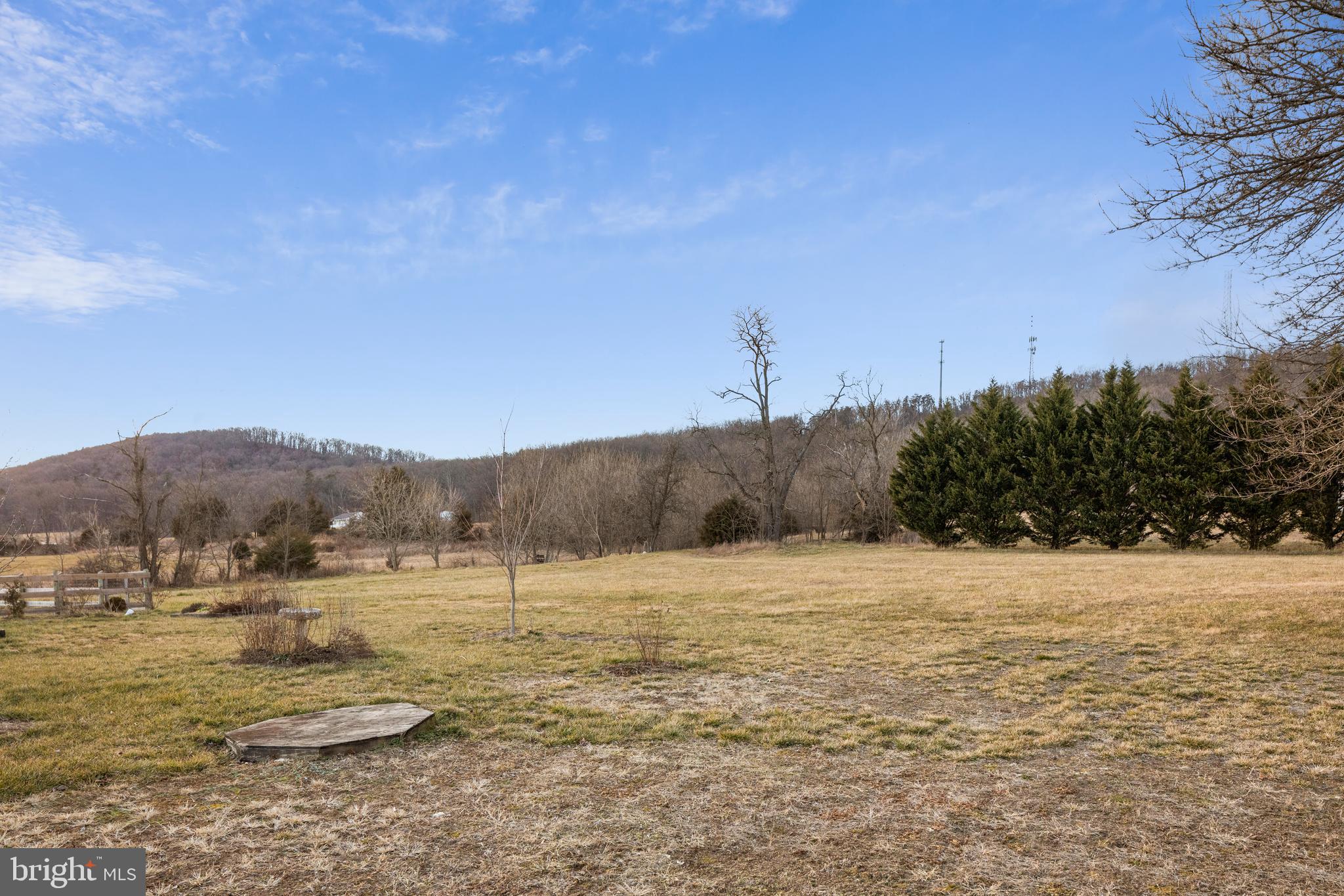 1503 Cottontown Road Strasburg, VA 22657 - Photo 27 of 42 Open Space