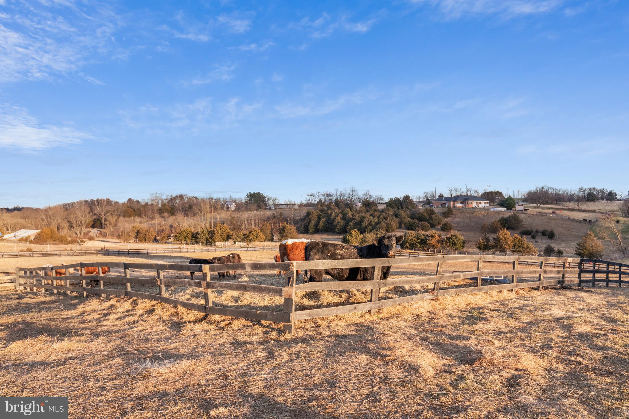 1503 Cottontown Road Strasburg, VA 22657 - Photo 28 of 42 Paddock area
