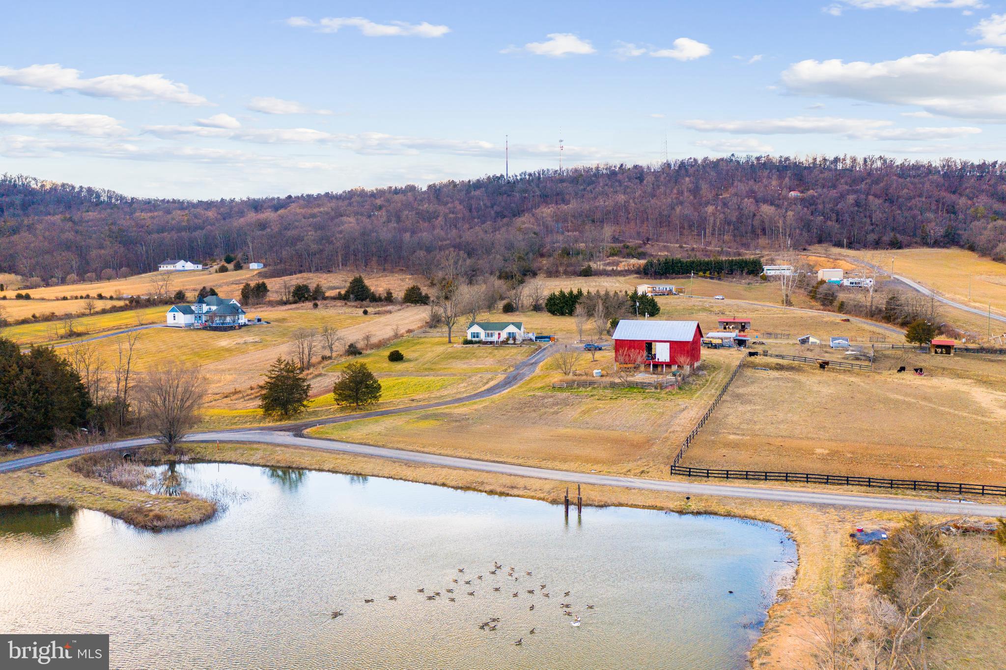 1503 Cottontown Road Strasburg, VA 22657 - Photo 4 of 42 Pond View