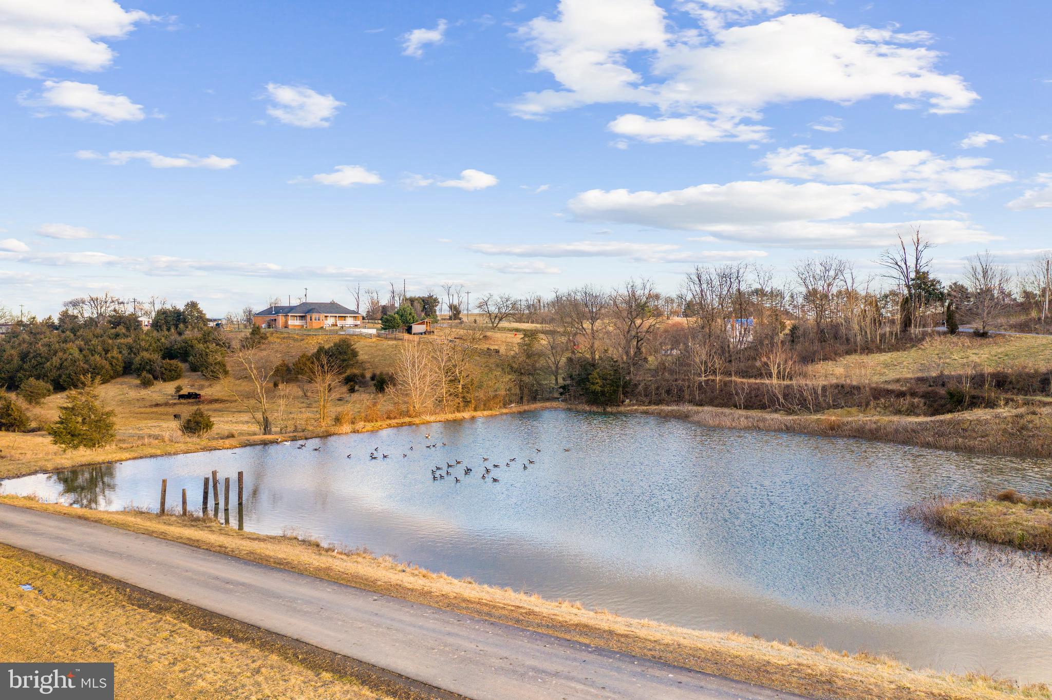 1503 Cottontown Road Strasburg, VA 22657 - Photo 41 of 42