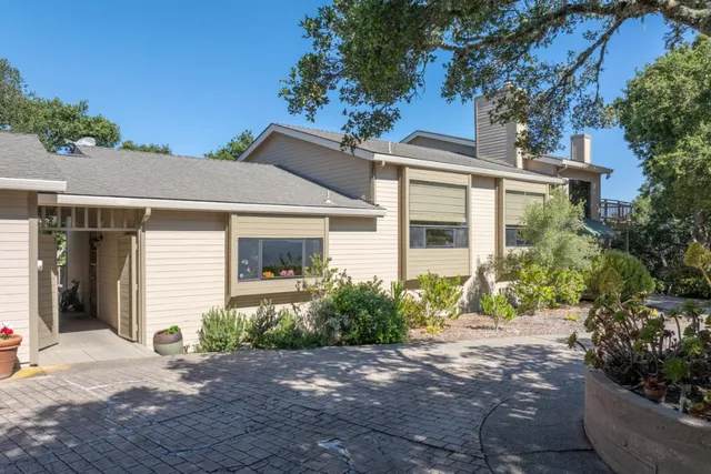 a view of a yard with a tree