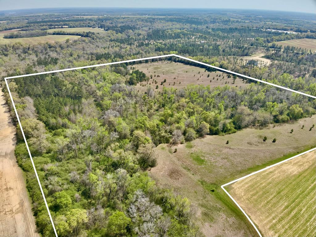 50-acres Dillard Road Pansey, AL 36370 - Photo 1 of 13