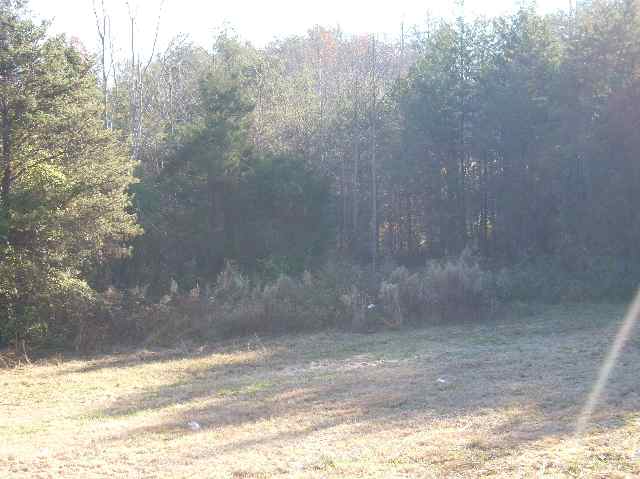 206 Valley Road Travelers Rest, SC 29690 - Photo 8 of 9