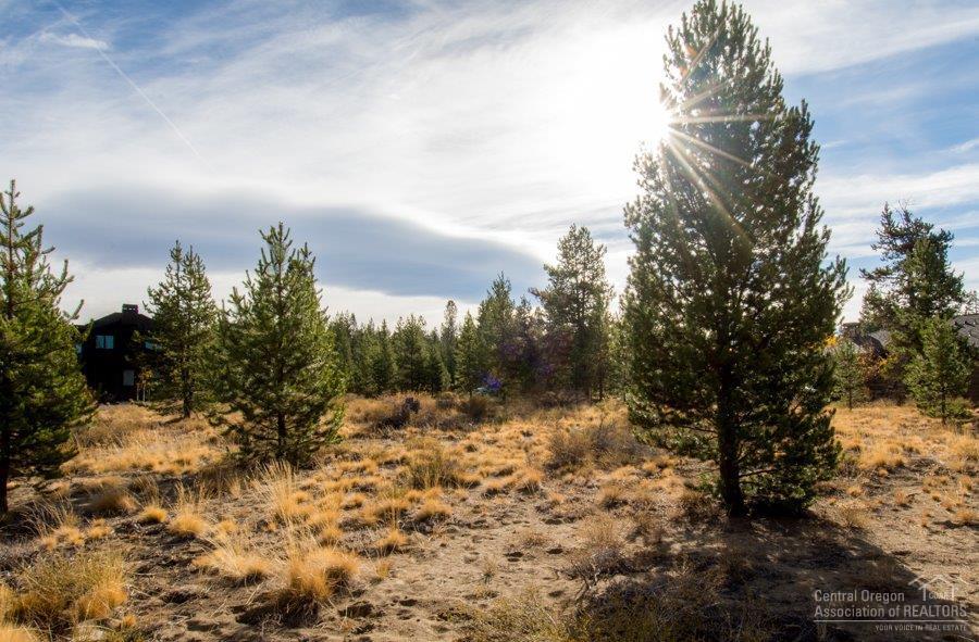 116 Sunstone Loop Bend, OR 97707 - Photo 5 of 6 Additional Photo