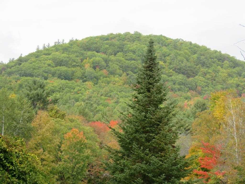 67 Riddle Hill Road Grafton, NH 03240 - Photo 14 of 23 Gallery Image 14