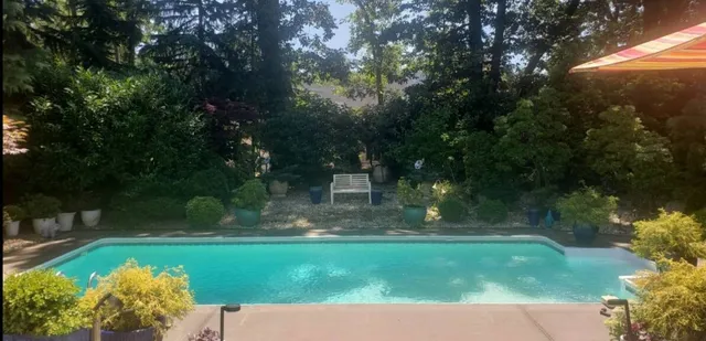 a view of a garden with a bench