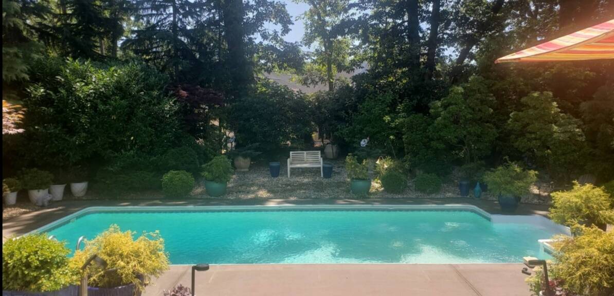 a view of a garden with a bench