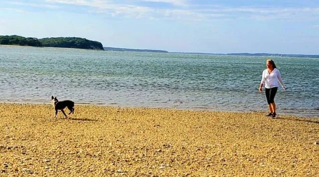 a view of beach and ocean view