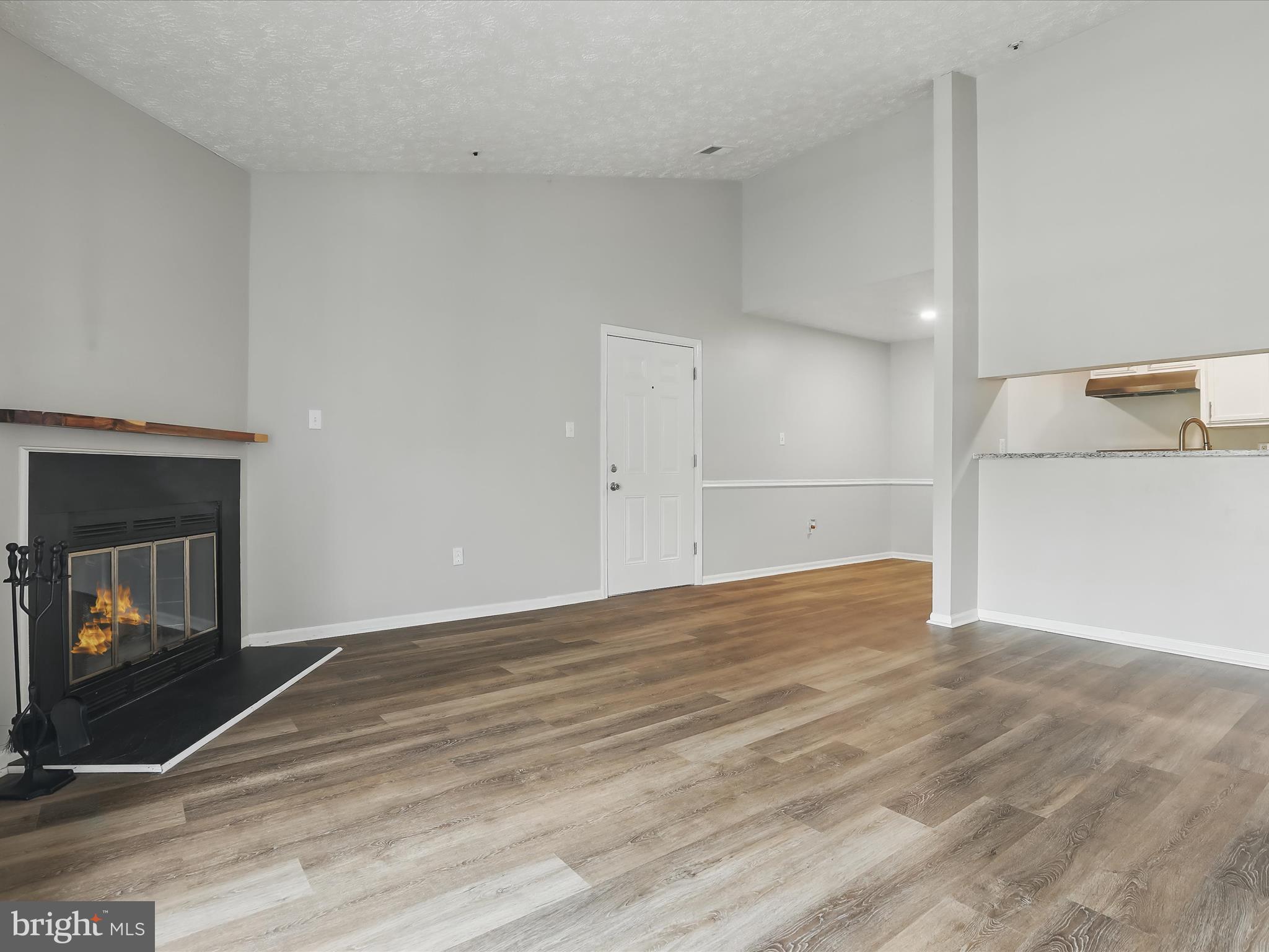 6435 Greenfield Road, Unit 1210 Elkridge, MD 21075 - Photo 9 of 30 Vaulted Ceilings - Fireplace