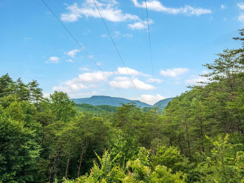 118 Price Road Reliance, TN 37369 - Photo 5 of 38 20250714235716131234000000-o