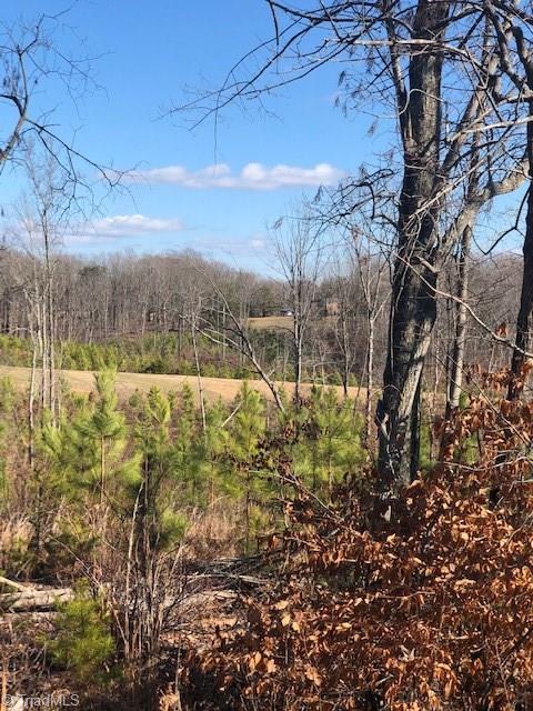 4370 Price Road Stoneville, NC 27048 - Photo 7 of 24 Gallery Image 7