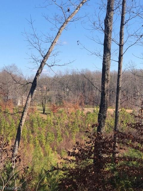 4370 Price Road Stoneville, NC 27048 - Photo 8 of 24 Gallery Image 8