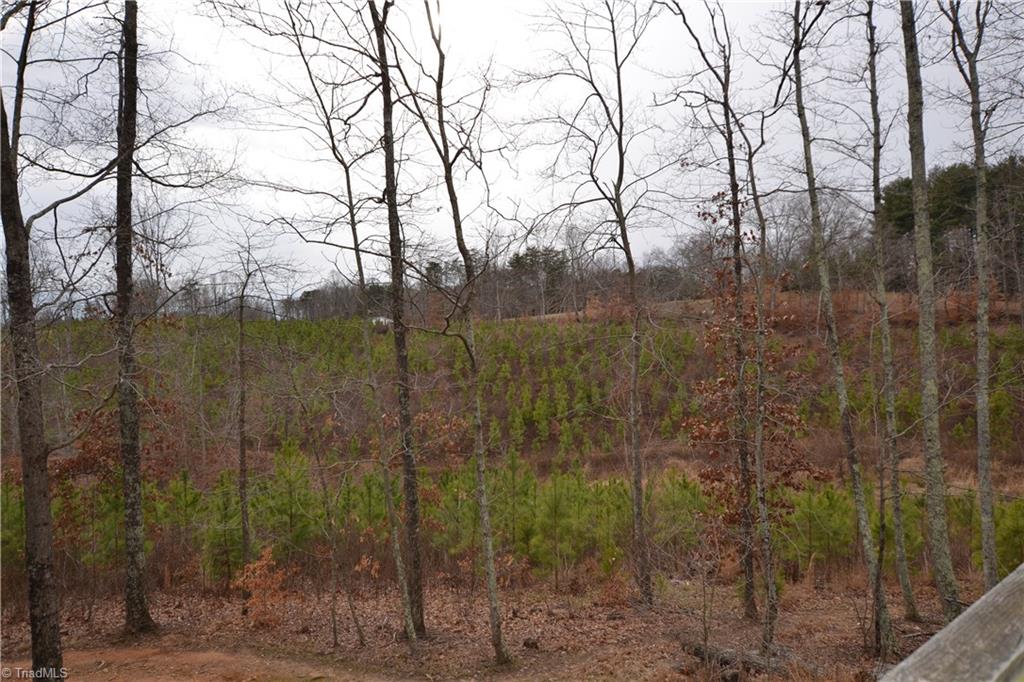 4370 Price Road Stoneville, NC 27048 - Photo 10 of 24 Gallery Image 10