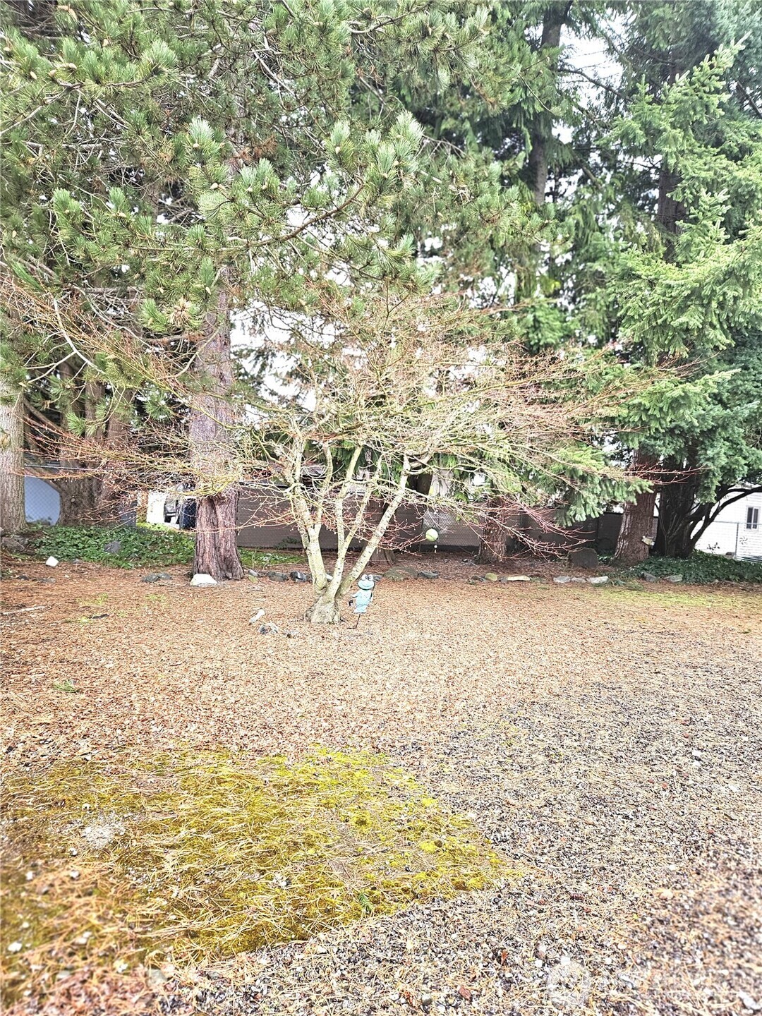 1427 100th Street Southwest, Unit 75 Everett, WA 98204 - Photo 20 of 20