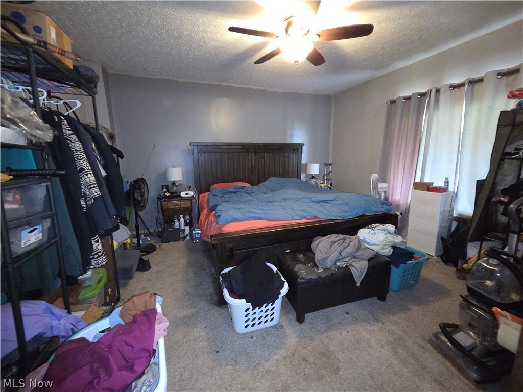 65109 Union Street Neffs, OH 43940 - Photo 6 of 9