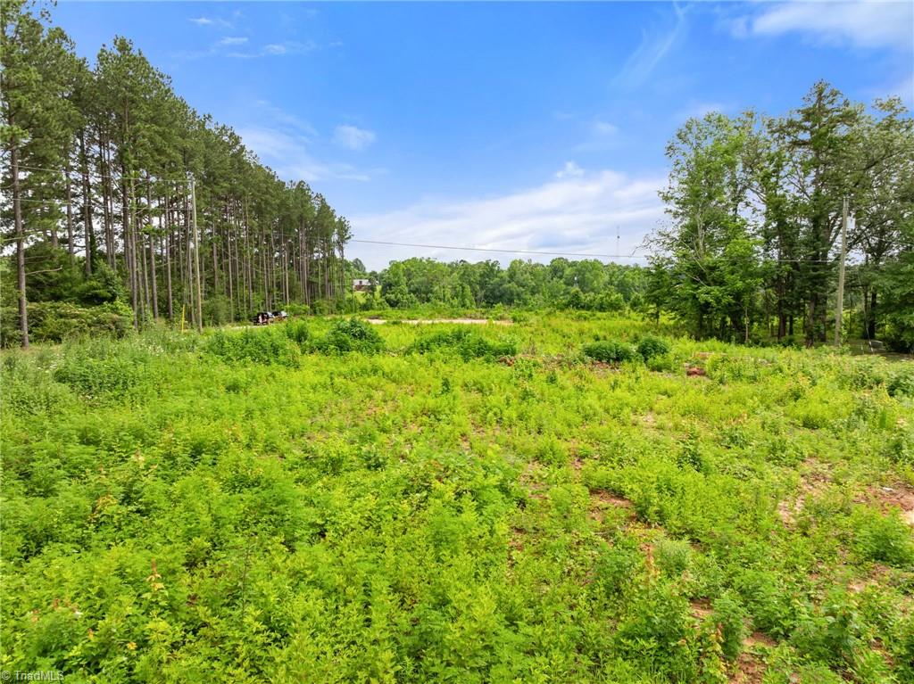 185 Chestnut Grove Church Road Lexington, NC 27295 - Photo 3 of 17 Gallery Image 3