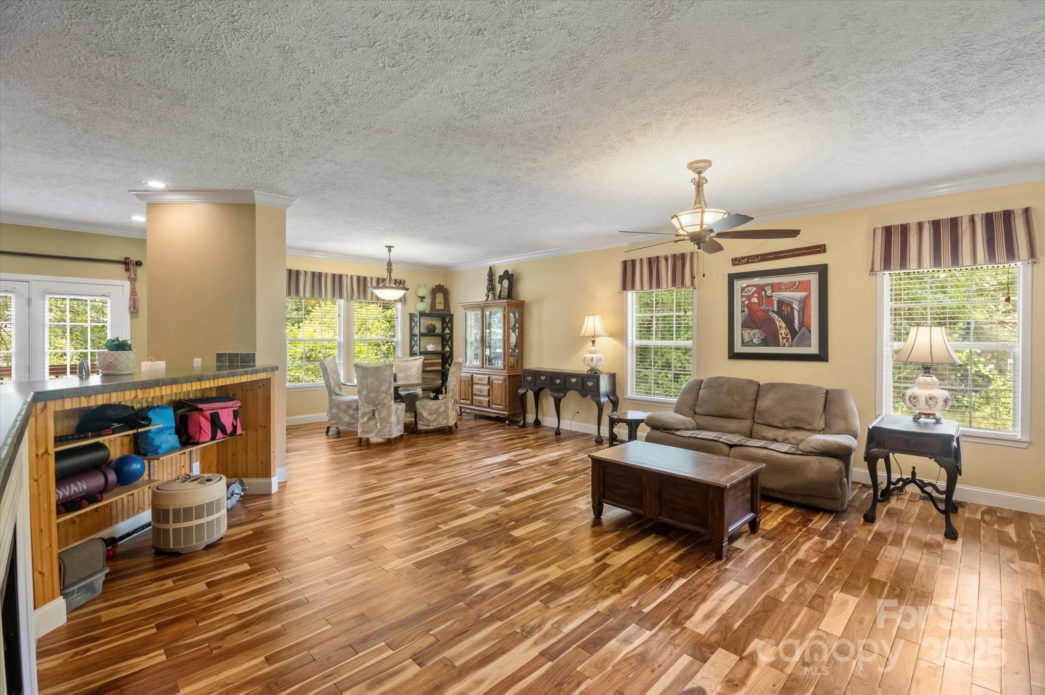 142 Pinners Cove Road Asheville, NC 28803 - Photo 4 of 37 Gallery Image 4