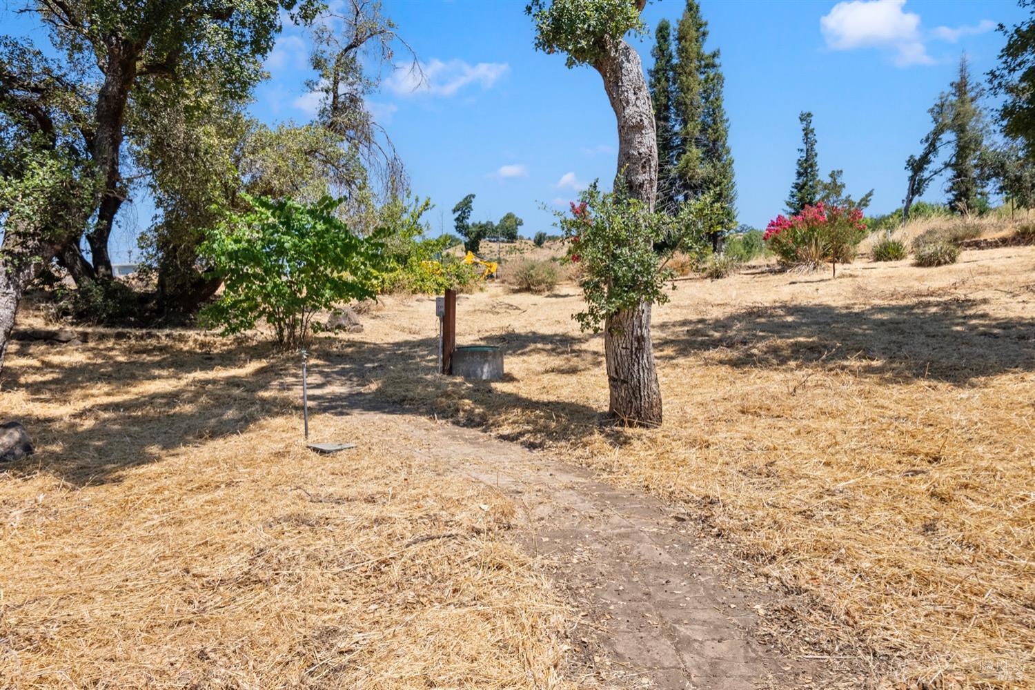 1777 Crystal Springs Court Santa Rosa, CA 95404 - Photo 12 of 14 a view of a dirt yard with a large tree