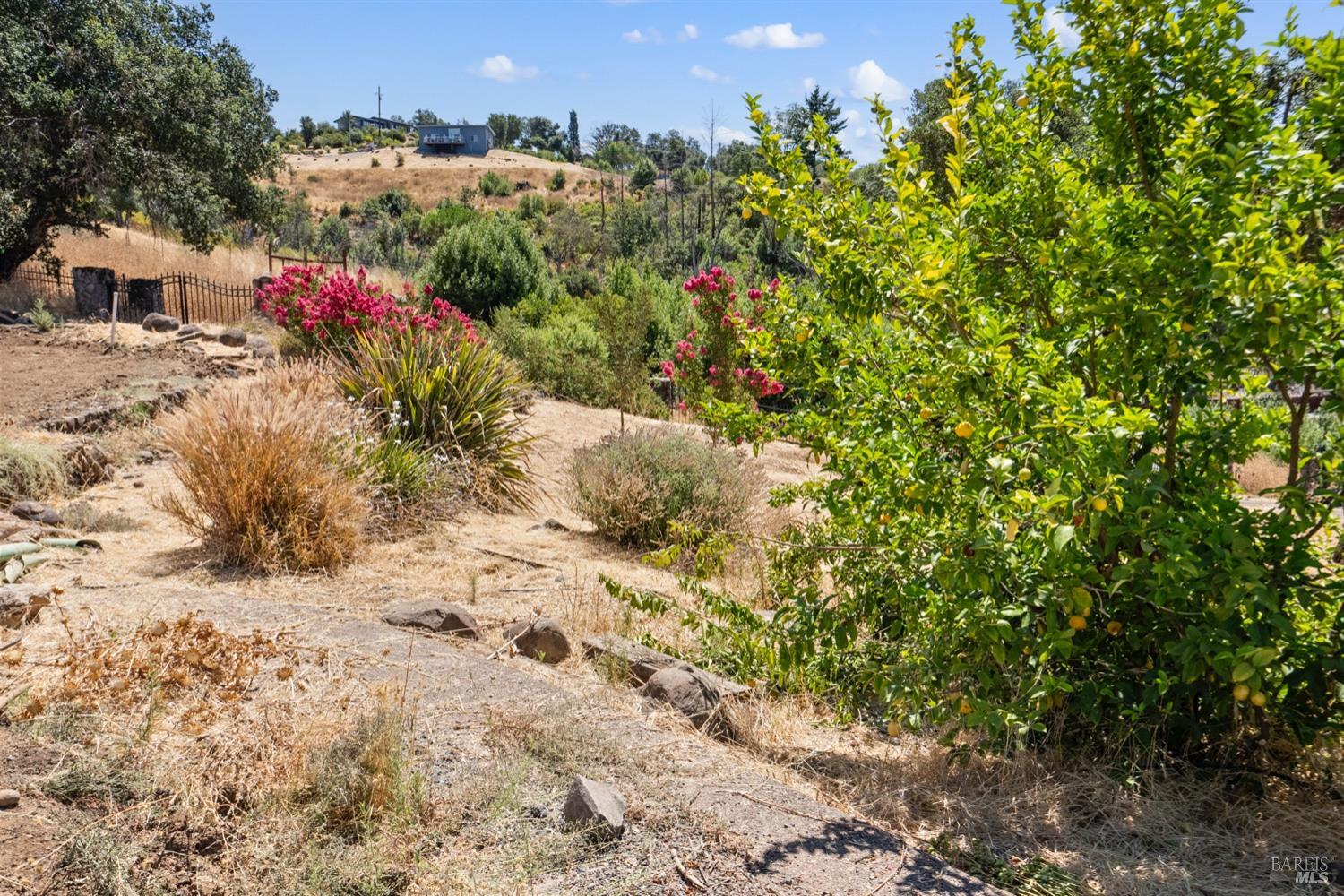 1777 Crystal Springs Court Santa Rosa, CA 95404 - Photo 10 of 14 a view of a dry yard with trees and flowers