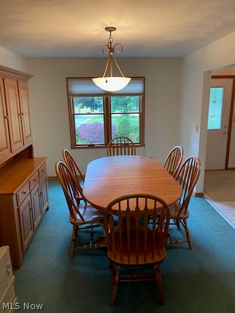 6861 South Raccoon Road Canfield, OH 44406 - Photo 7 of 41 Formal dining room with carpet