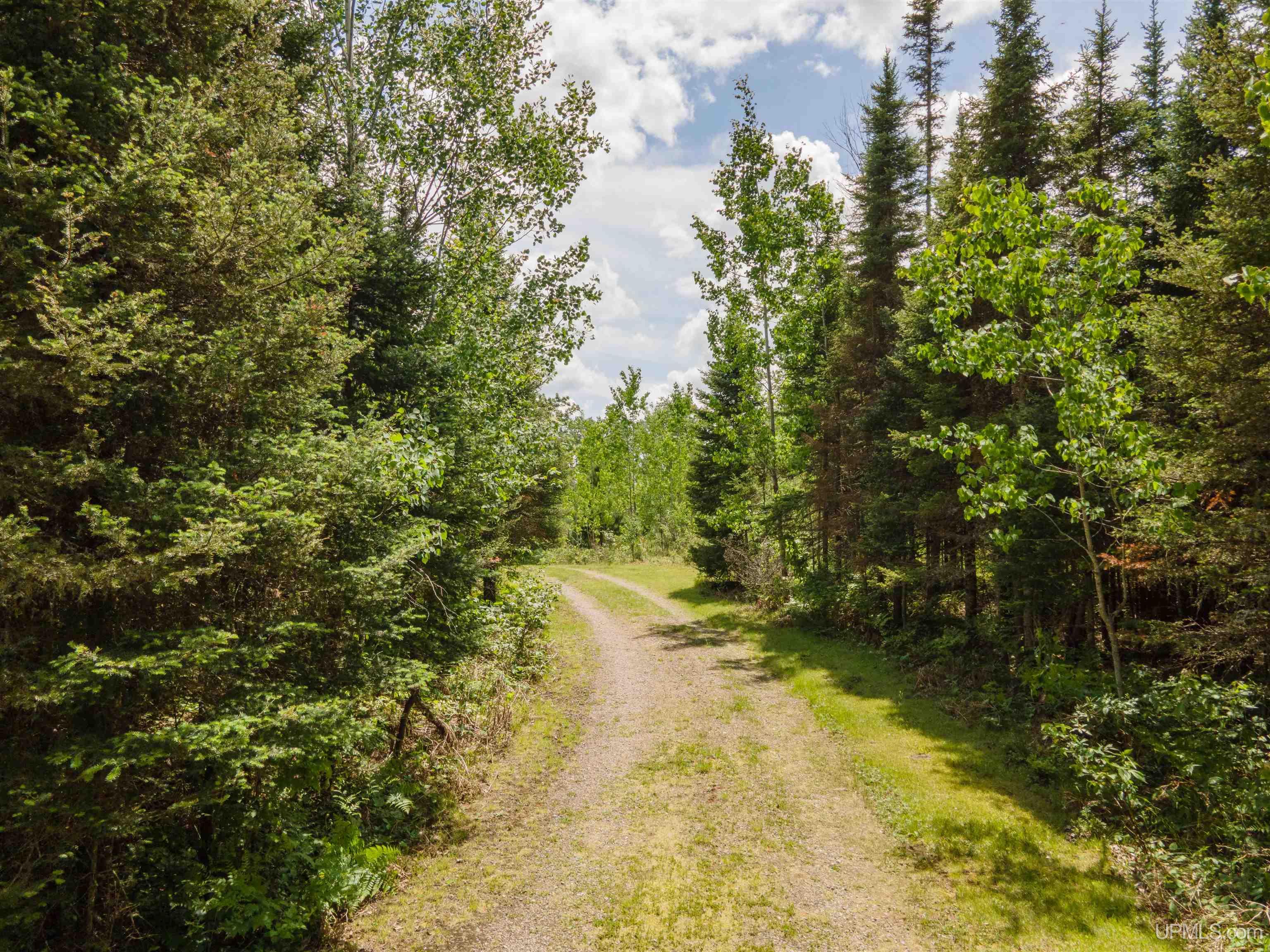 453 Gold Mine Road Iron River, MI 49935 - Photo 17 of 26