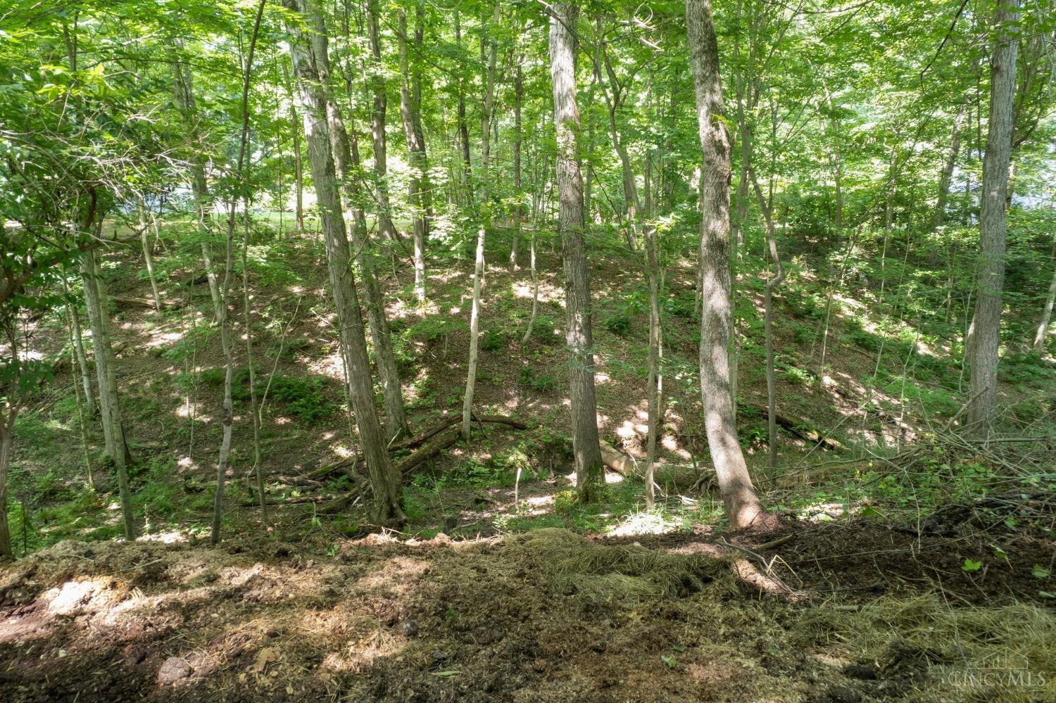3173 Reisinger Road Bethel, OH 45106 - Photo 25 of 84