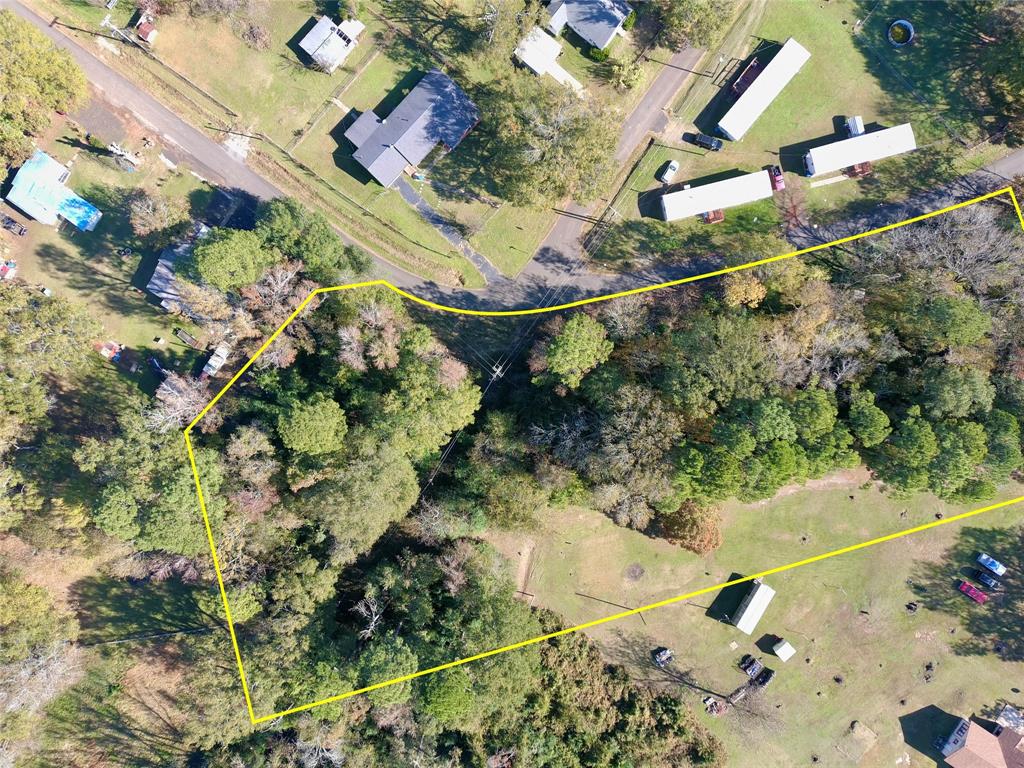 Tract #2 Long Street Waskom, TX 75692 - Photo 11 of 19 a view of a yard with plants