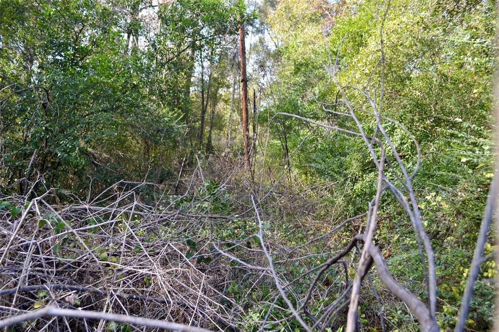 Tract #2 Long Street Waskom, TX 75692 - Photo 17 of 19 a view of a forest with a tree
