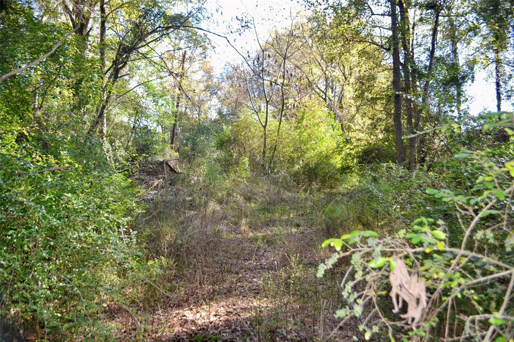 Tract #2 Long Street Waskom, TX 75692 - Photo 2 of 19 a view of a tree in a yard