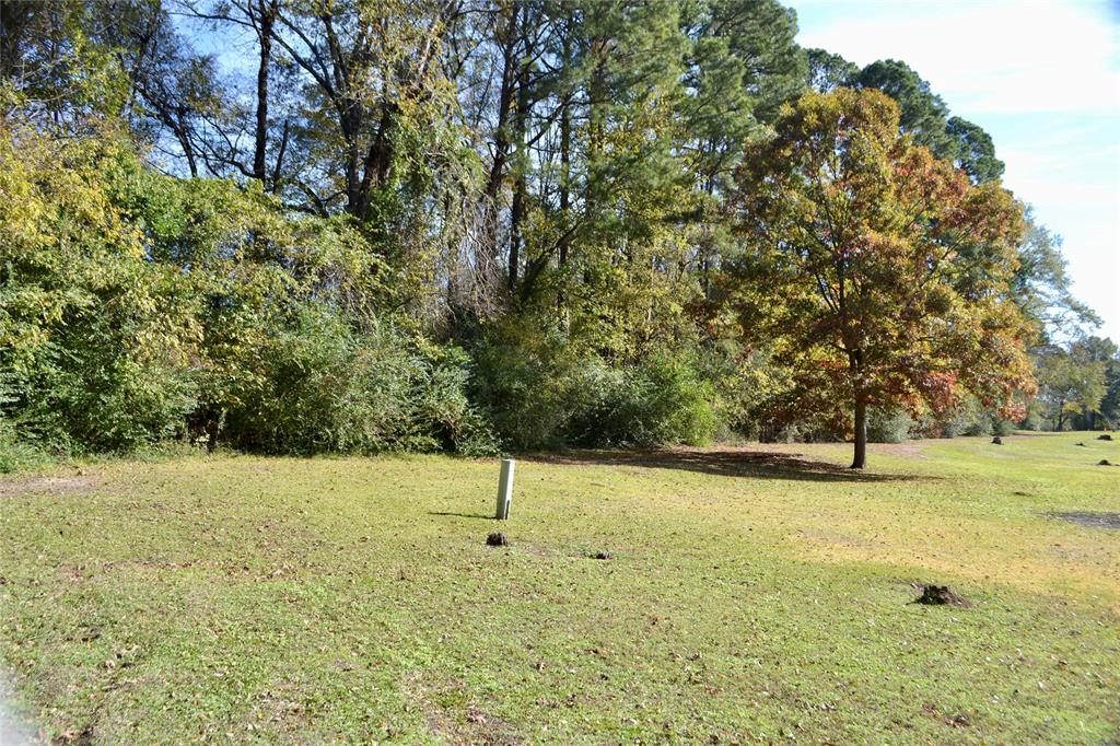 Tract #2 Long Street Waskom, TX 75692 - Photo 3 of 19 a view of a swimming pool and a yard