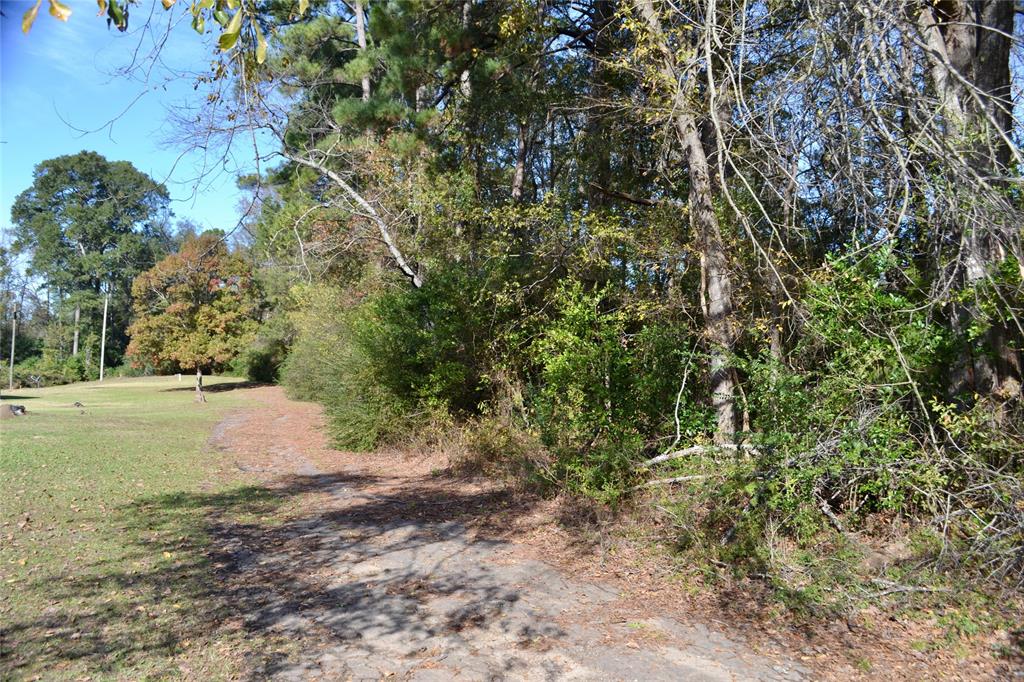 Tract #2 Long Street Waskom, TX 75692 - Photo 8 of 19 a view of a yard with plants and trees