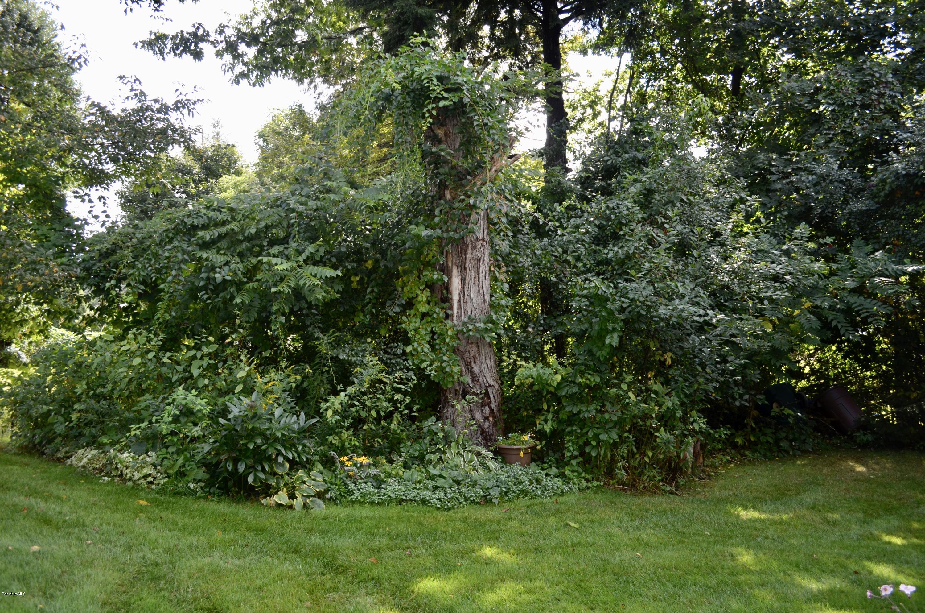 29 Howe Road Pittsfield, MA 01201 - Photo 11 of 50 Backyard