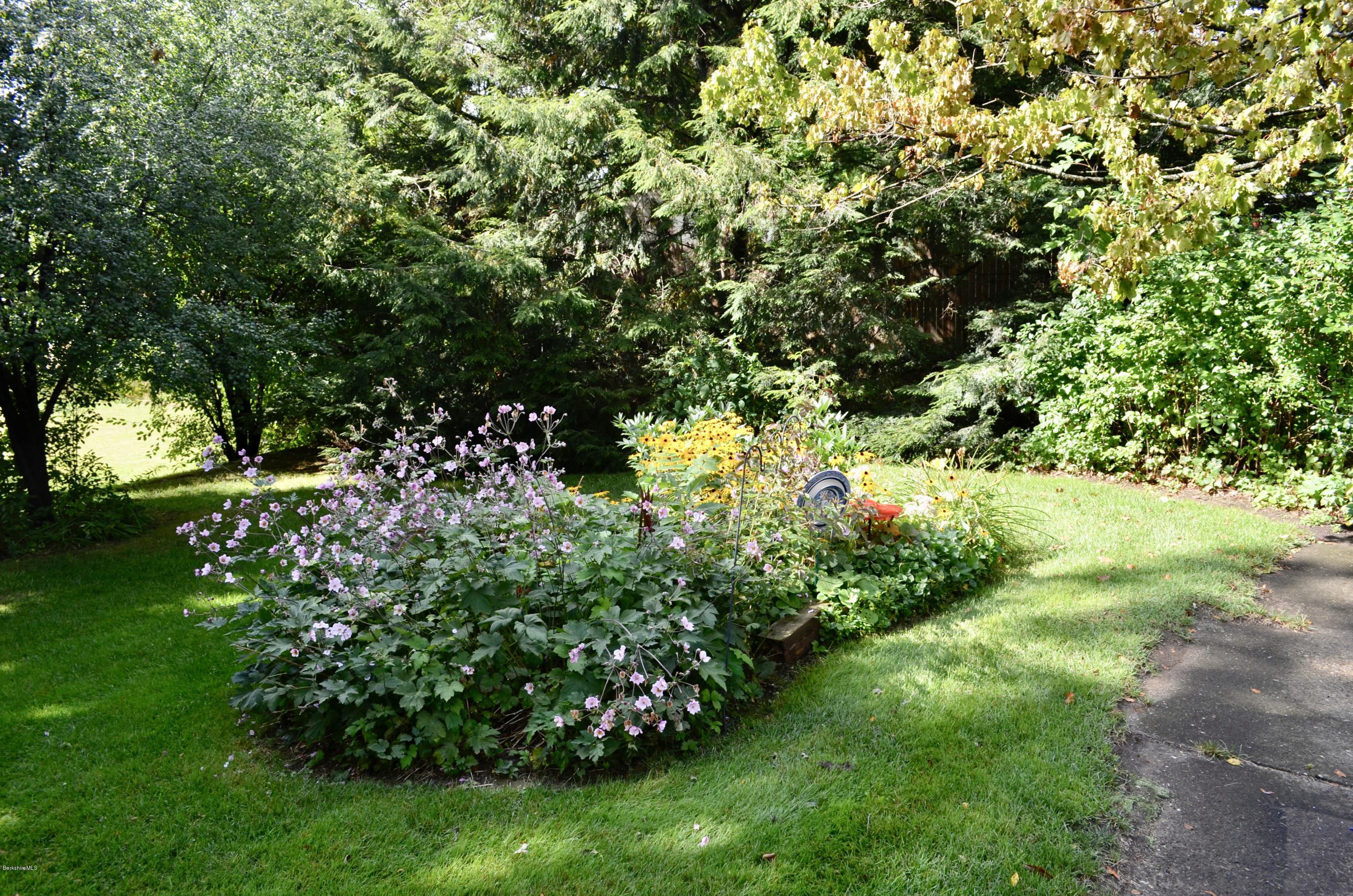 29 Howe Road Pittsfield, MA 01201 - Photo 10 of 50 Backyard