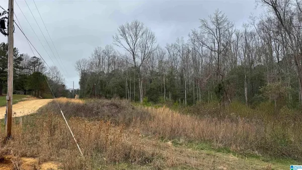 $22,000 | 2187 County Road 340, Maplesville, AL 36750