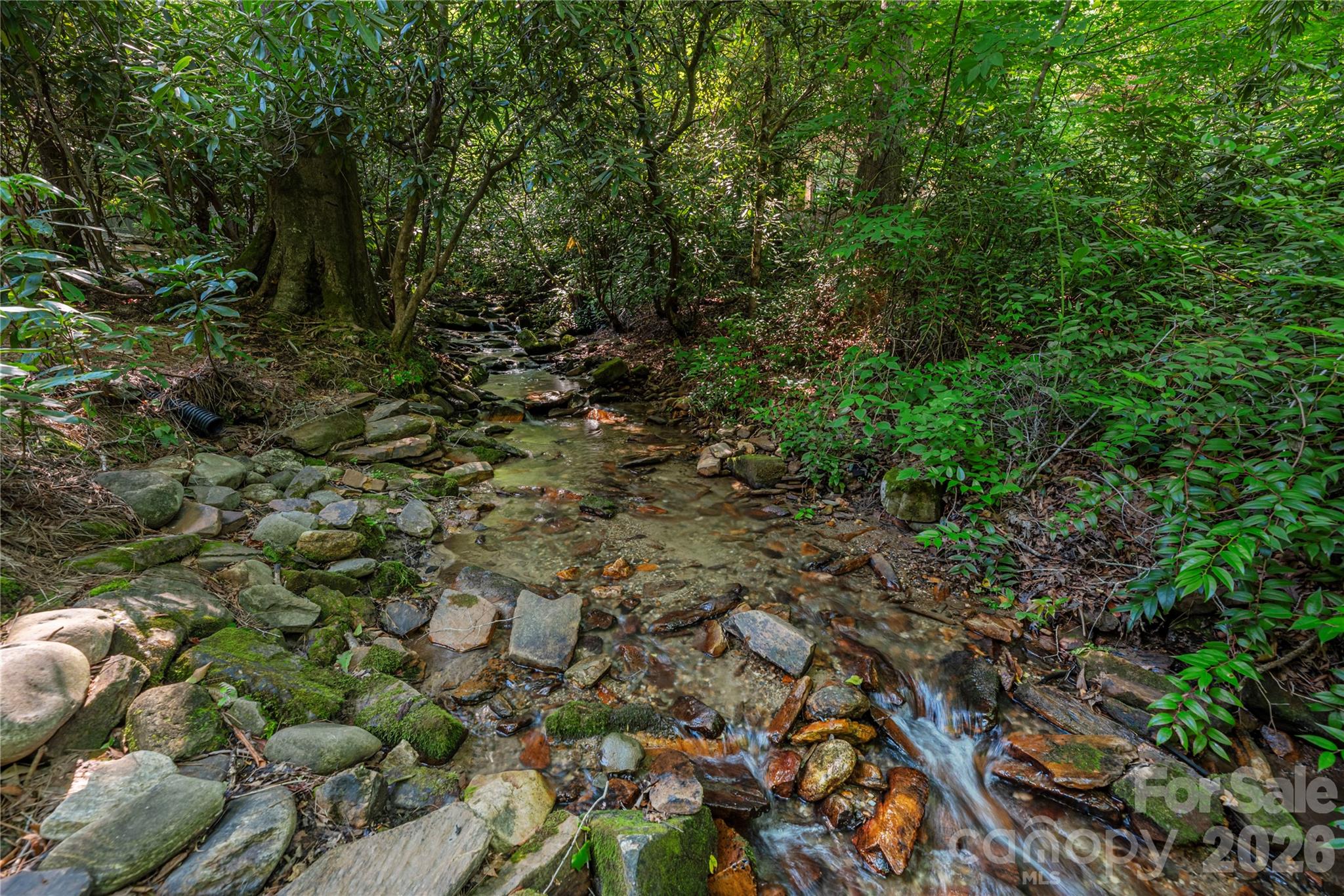 35 Flint Ridge Road Bryson City, NC 28713 - Photo 42 of 48 Gallery Image 42