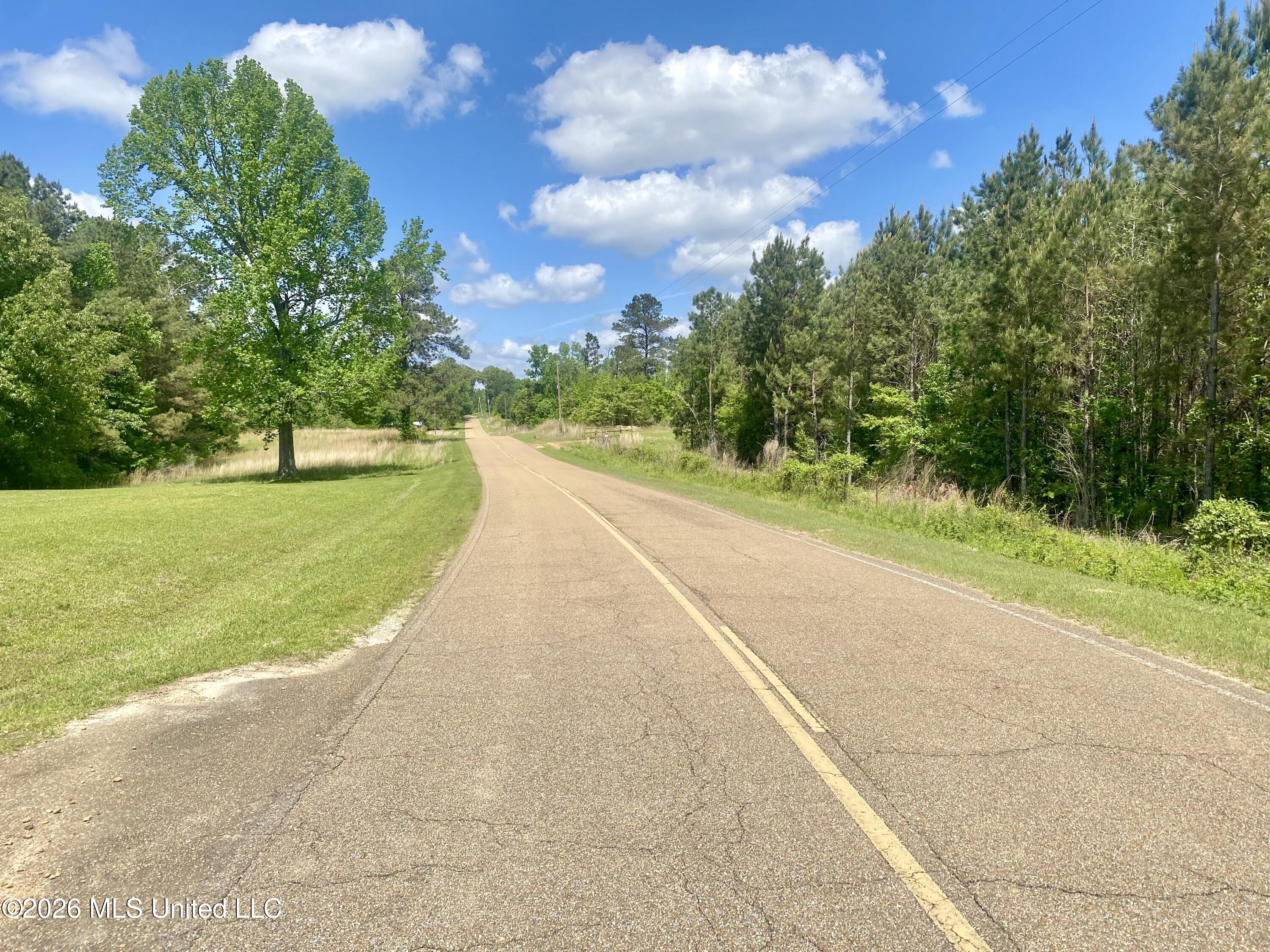 3070 Martinsville Road Wesson, MS 39191 - Photo 44 of 45 IMG_5580